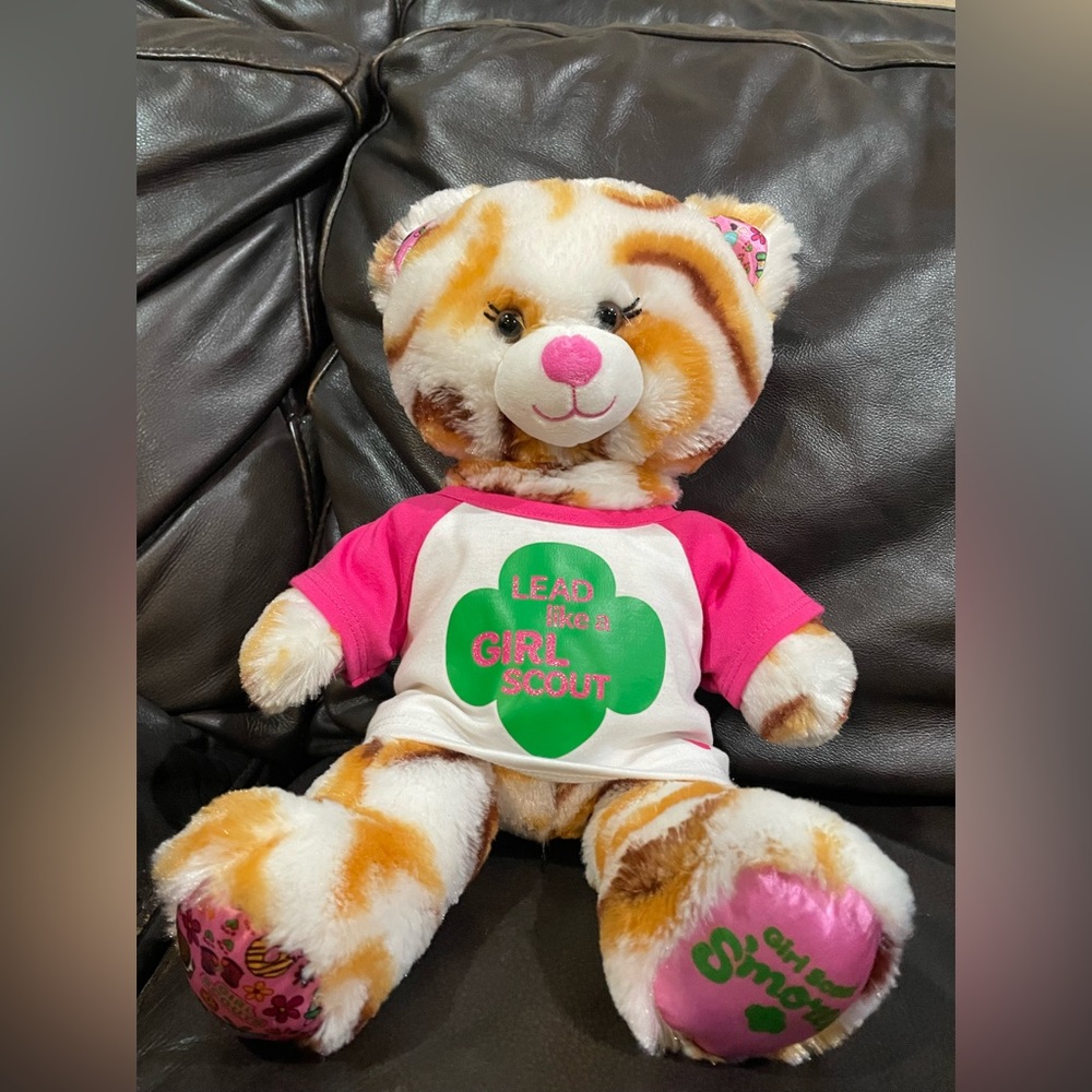 🎉Build a Bear 🐻 Girl Scout s’mores bear